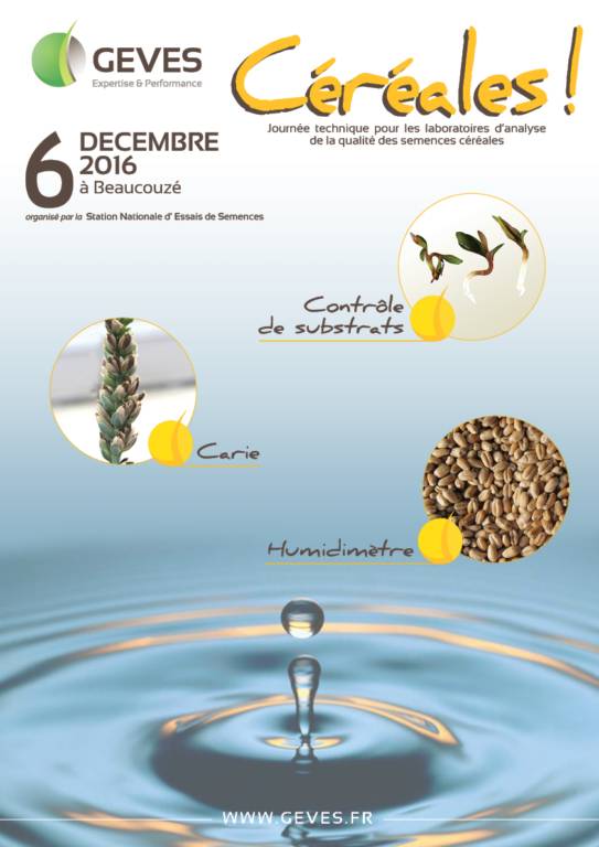 2Cereales