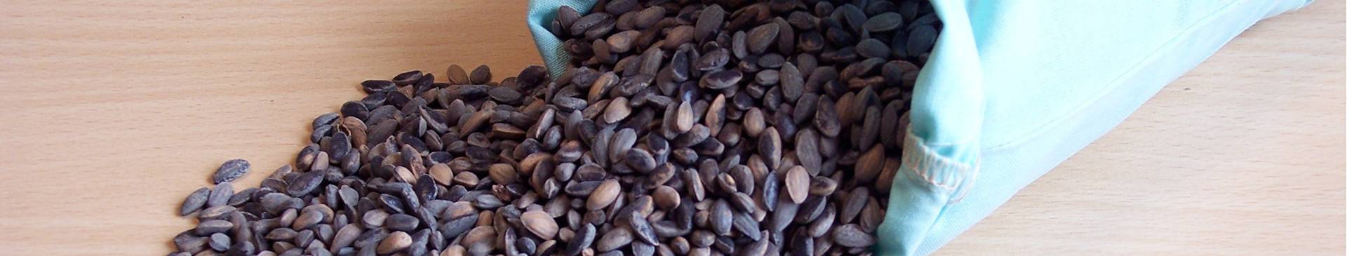Annual Statistics on the Sale of Forest Plants and Seed