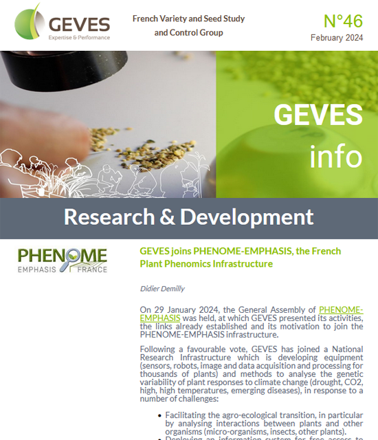 Newsletter N°46