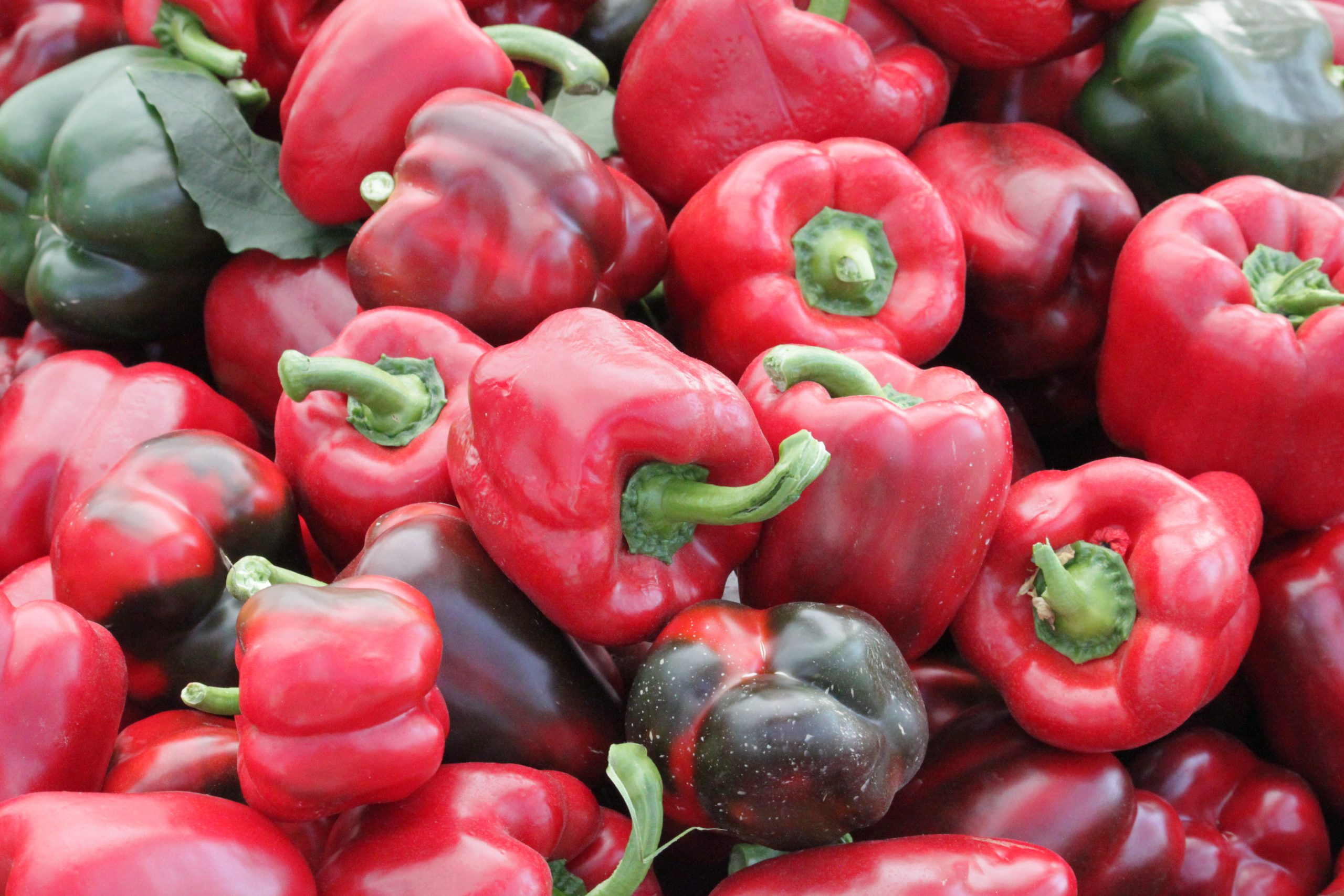Pepper