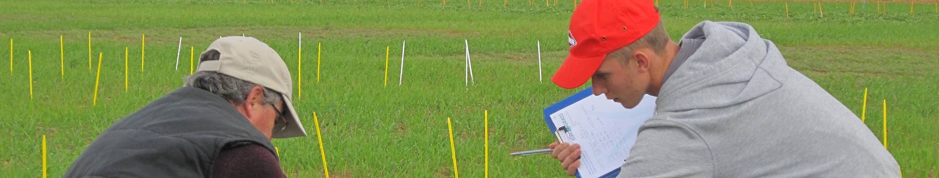 Registration of Ecosystem Services Plants in the French Catalogue