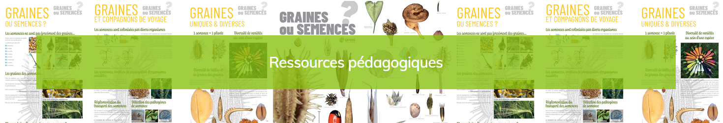 Educational resources