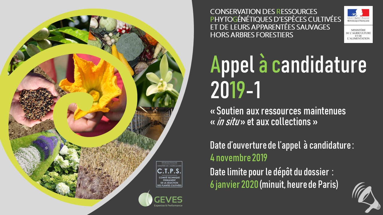 Appel à candidatures 2019-1