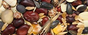 What is seed quality ?